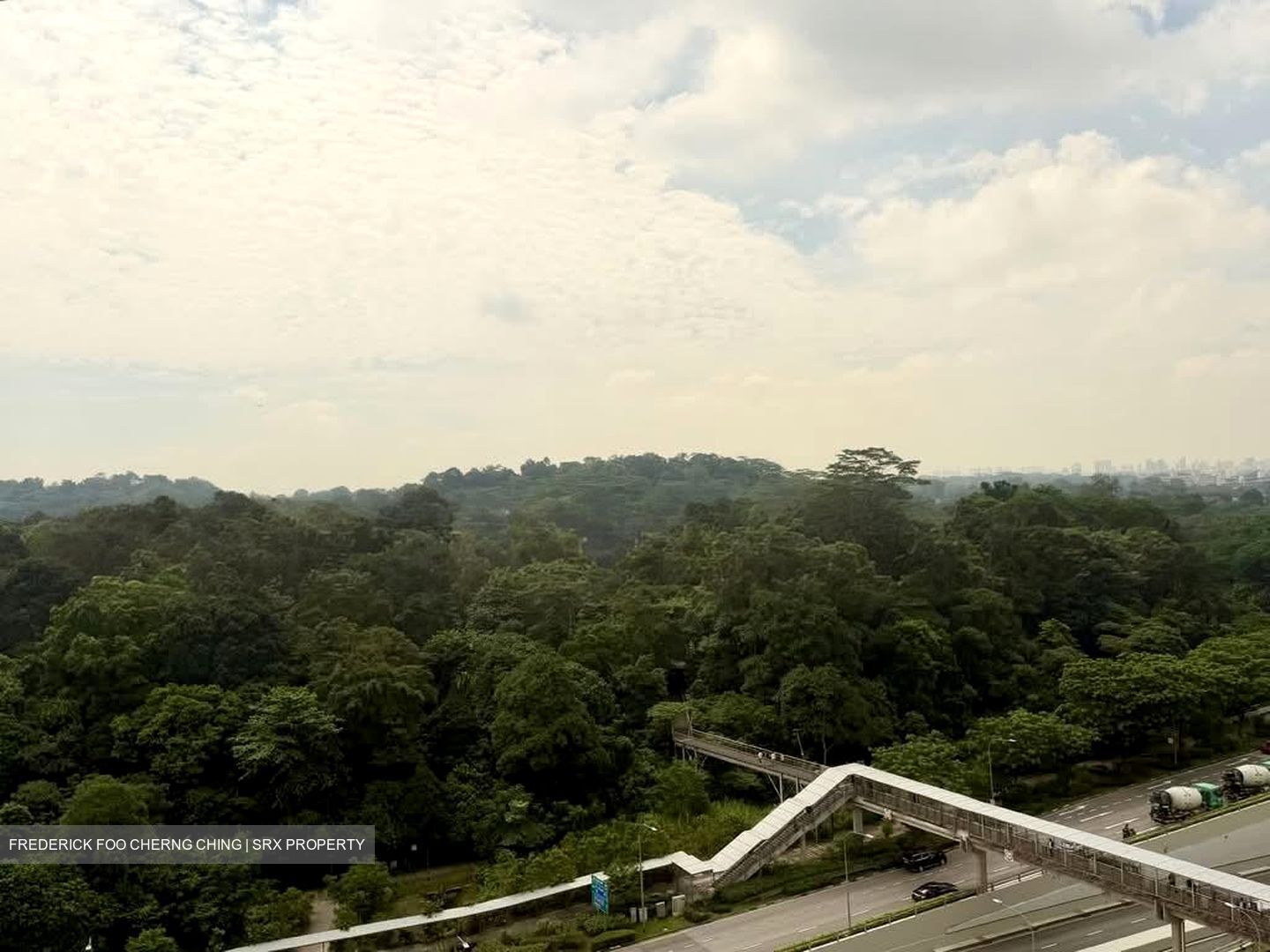 Bukit Timah Shopping Centre (D21), Office #566797241
